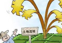 土地流转政策法规