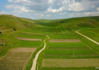 耕地优先种植粮食作物