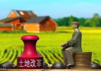 土地流转相关政策2021最新