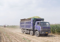 土地流转手续模板简约版怎么写