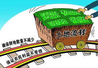 土地流转什么政策