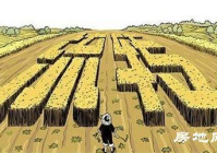 土地流转成功的案例