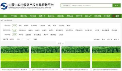 土地流转网上交易平台