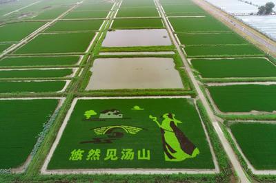 耕地优势南高北低东高西低