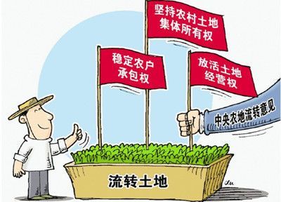 农村土地流转交易平台