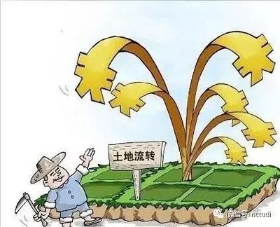 土地流转我不同意合法吗