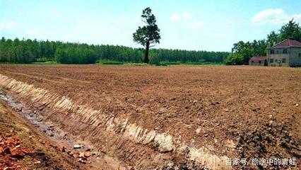 土地流转几种方式可以合并