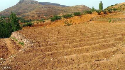 土地流转的意义