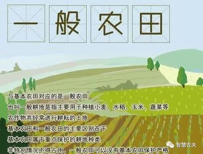 什么是优质耕地