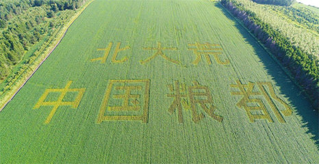 耕地优势度的概念