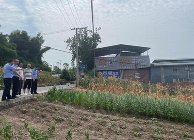 明确耕地利用优先序,重点用于粮食特别是口粮生产