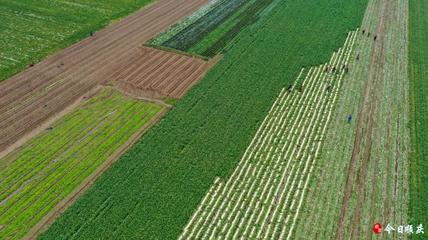 耕地优化配置应考虑的问题