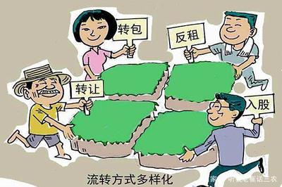 土地流转方式有哪些?土地流转的基本原则?