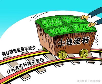 土地流转20年合法吗现在