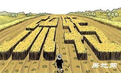 土地流转成功的案例