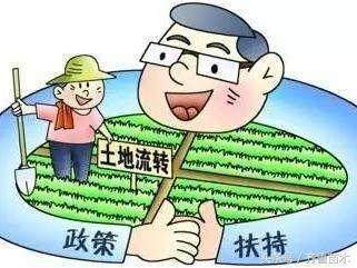 土地流转应该向什么部门反映