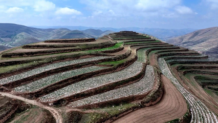 土地流转20年后属于自己的吗