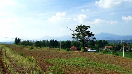 简述耕地优化配置