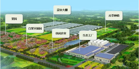 肥城土地流转平台