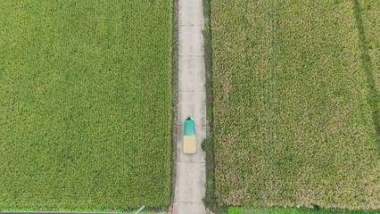 土地流转200一亩