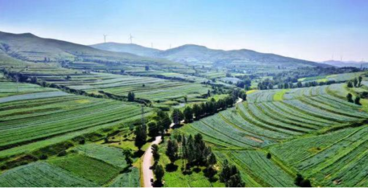 有限的耕地资源优先种植