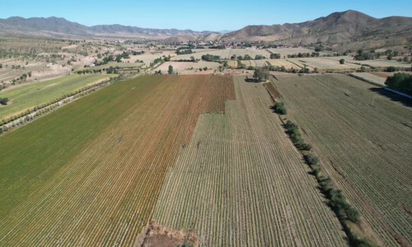 土地流转资讯官网查询
