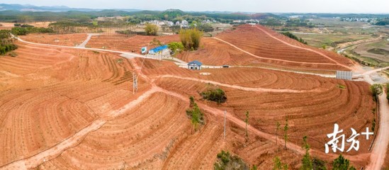 土地流转的成效