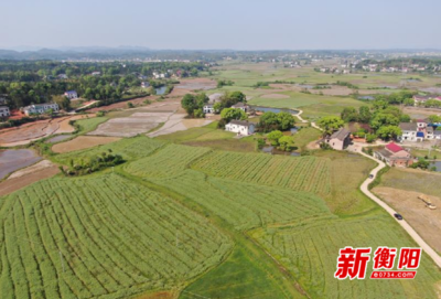 中国优质耕地占多少亩