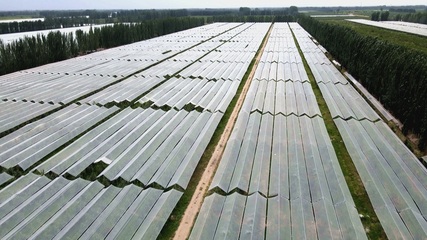 什么是优质耕地面积