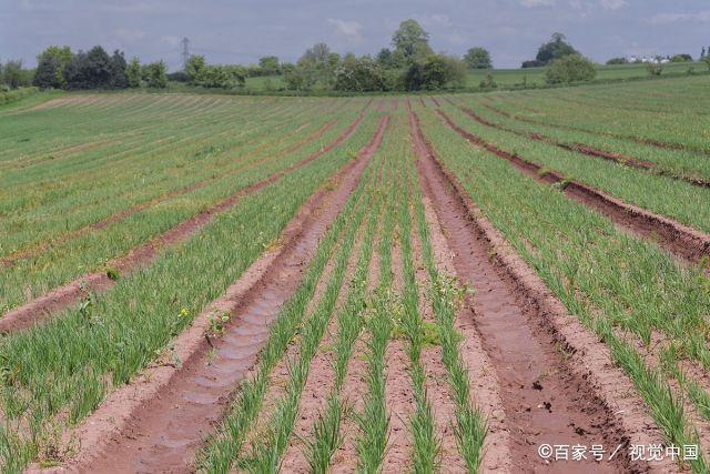 中国最好的耕地