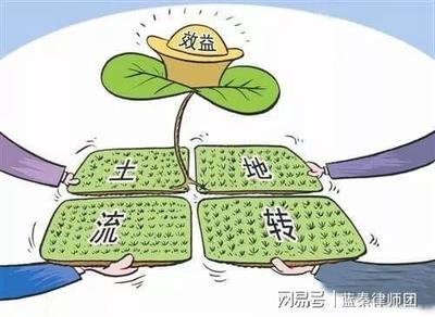 土地流转带来的效益