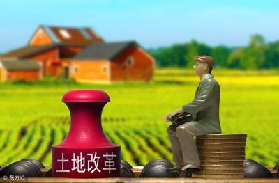 土地流转相关政策2021最新