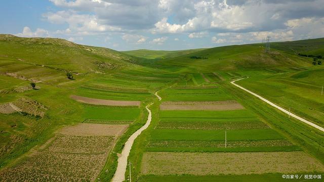 耕地优先种植粮食作物