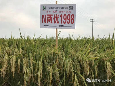 耕田种业有限公司