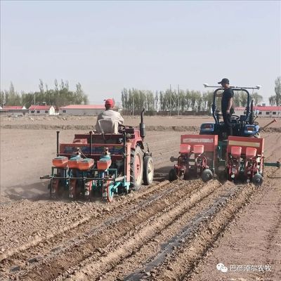 耕地优化配置方案