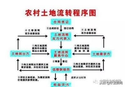 土地流转 流程图片