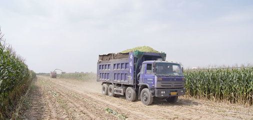 土地流转手续模板简约版怎么写