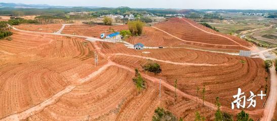 做土地流转平台怎么样