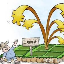 土地流转政策法规