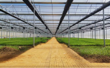 土地流转实操课程总结