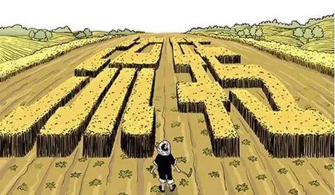 土地流转平台是什么时候开始的