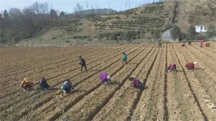 土地流转对老百姓有什么好处?